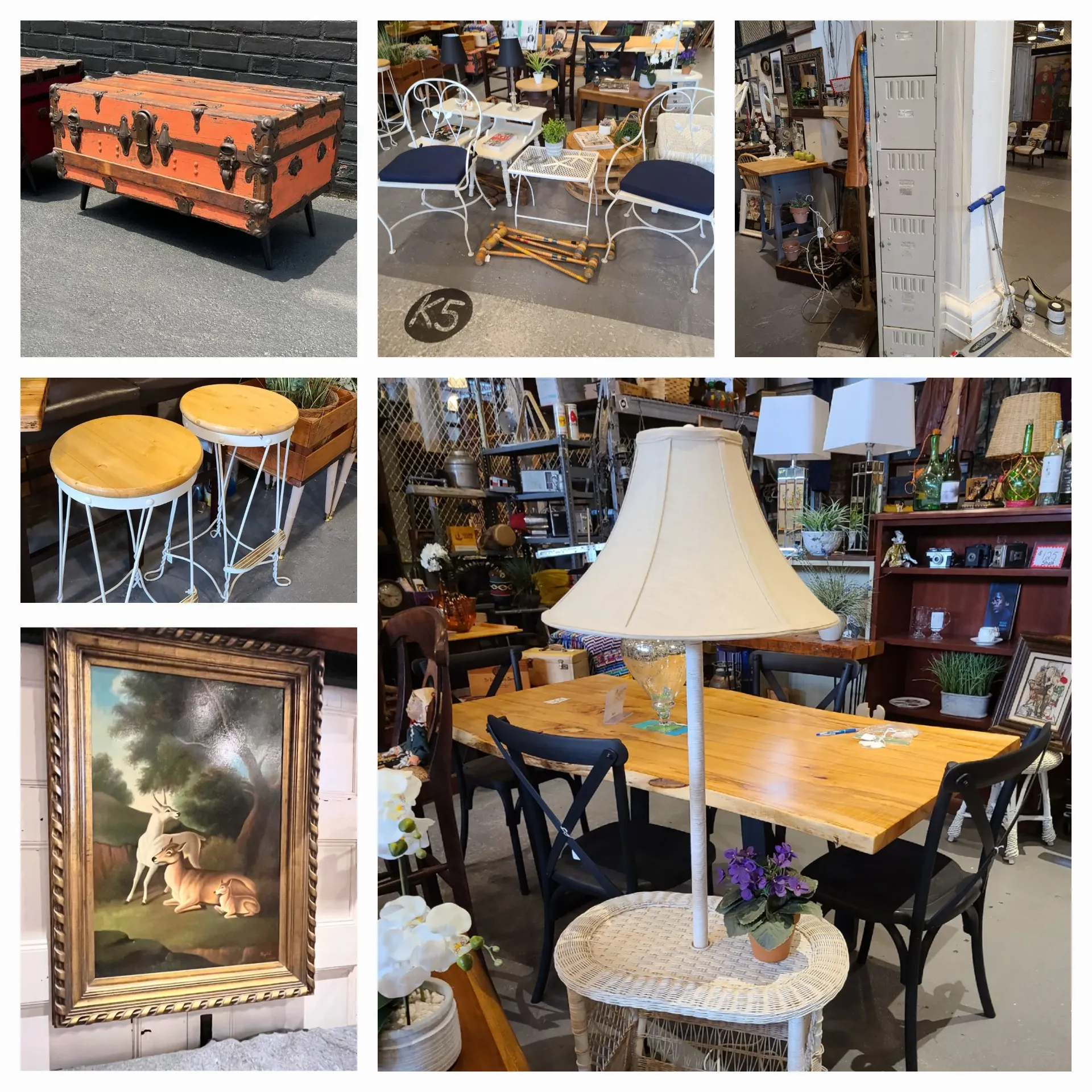 Robin Lane Treasures